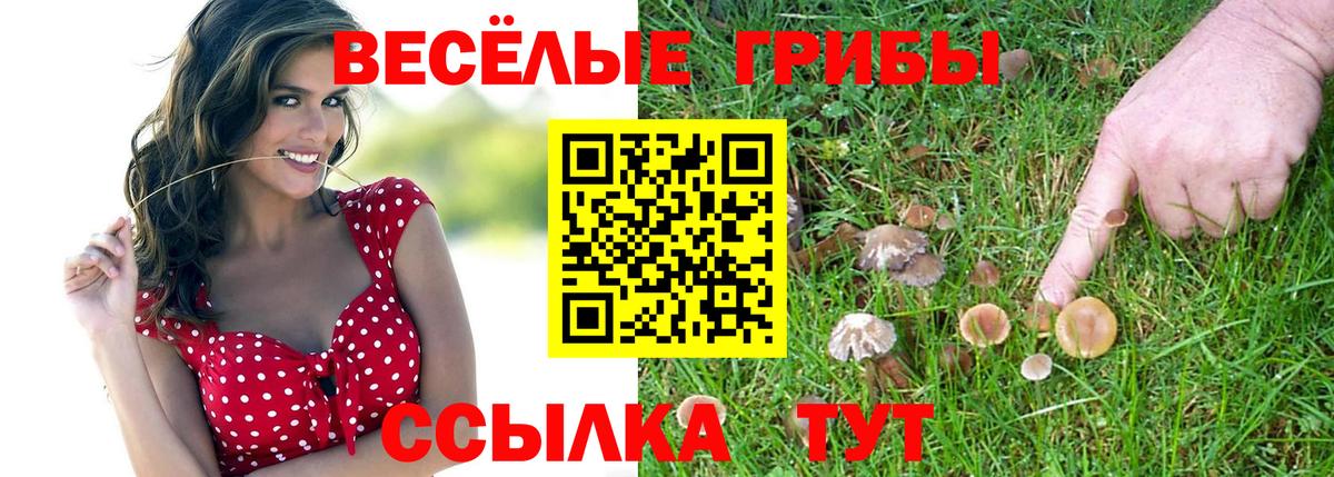 Галлюциногенные грибы Psilocybine cubensis Когалым