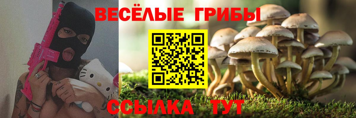 Когалым  Псилоцибиновые грибы GOLDEN TEACHER  Галлюциногенные грибы MAGIC MUSHROOMS  Вход с VPN 