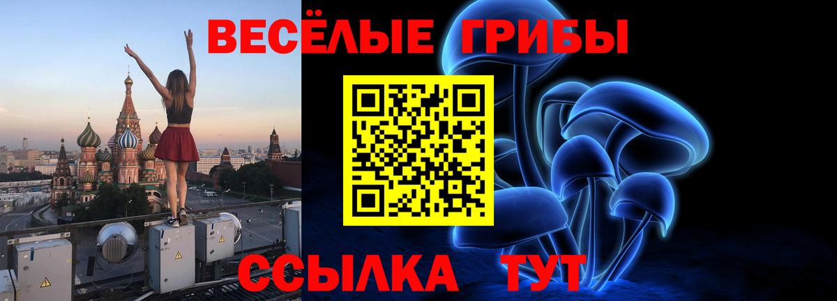 Псилоцибиновые грибы мицелий Когалым